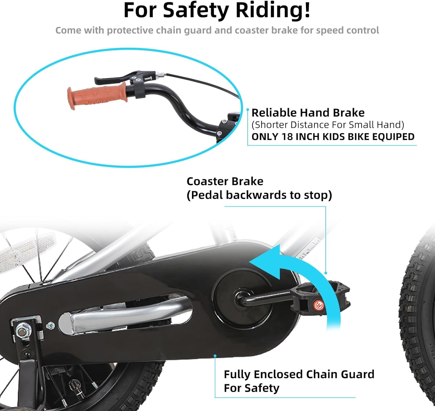 Sports - Acorn's House