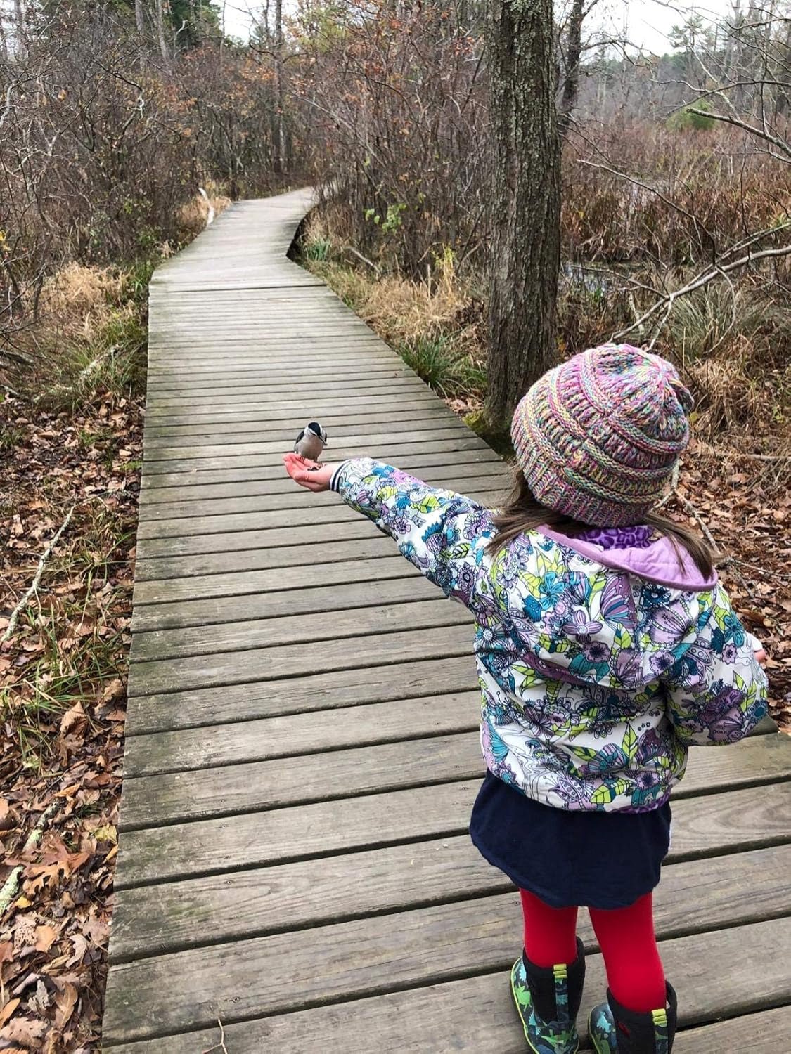 Sports - Acorn's House