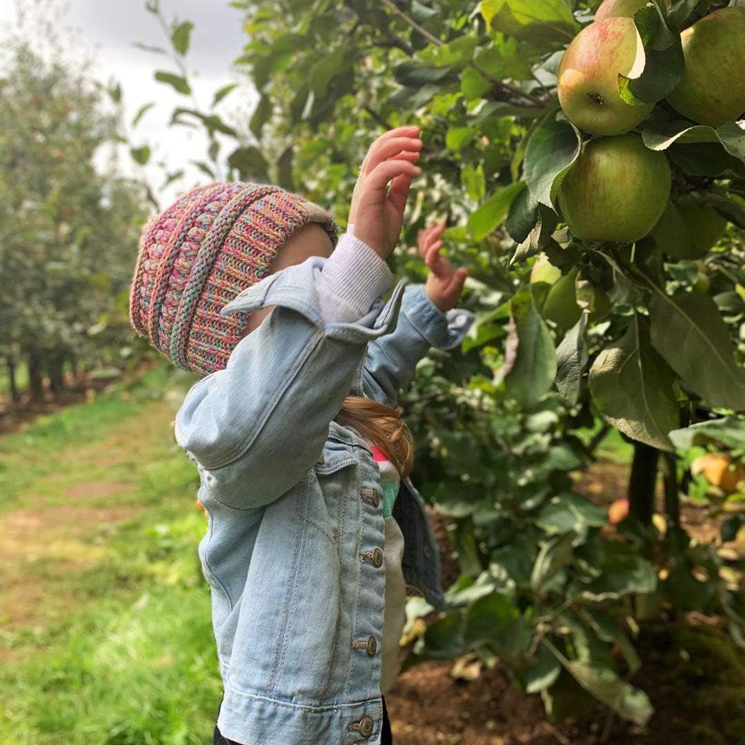 Sports - Acorn's House