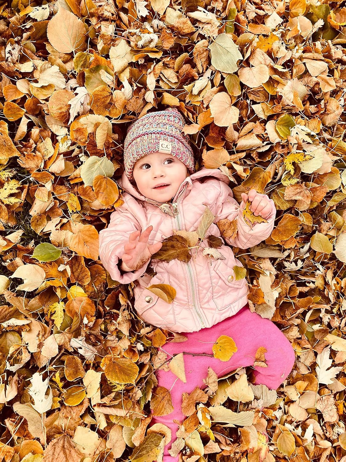 Sports - Acorn's House