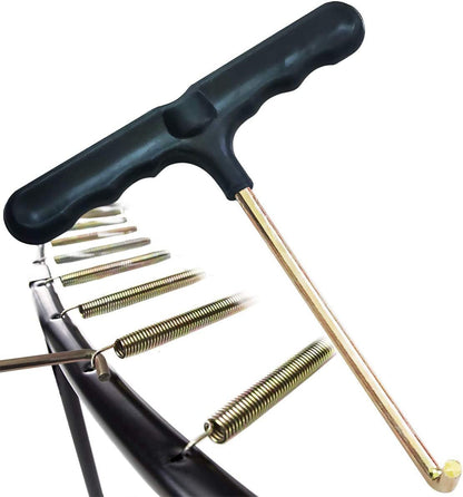 Sports - Acorn's House