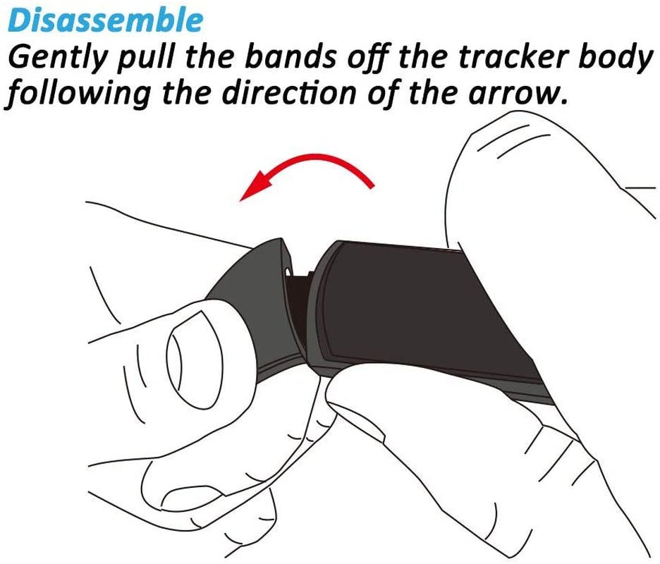 Sports - Acorn's House