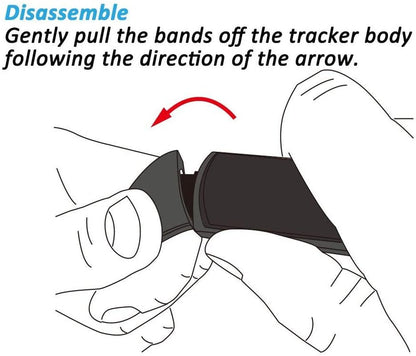 Sports - Acorn's House